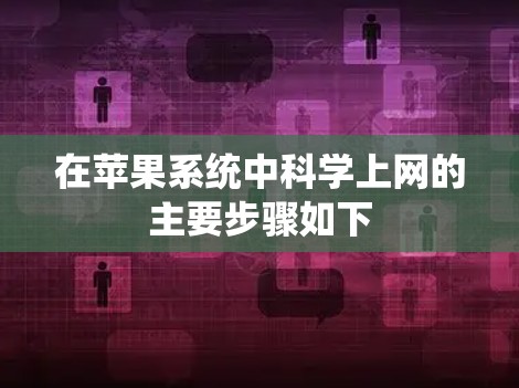 在苹果系统中科学上网的主要步骤如下