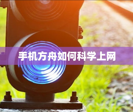 手机方舟如何科学上网
