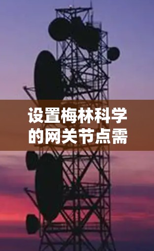 设置梅林科学的网关节点需要遵循以下步骤，确保数据准确传输和网络安全