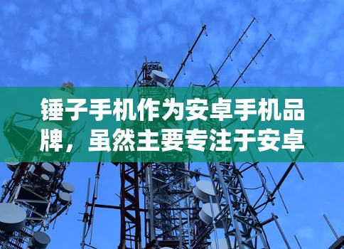锤子手机作为安卓手机品牌，虽然主要专注于安卓系统，但其手机上网功能通过第三方应用和手机自带的网络服务实现。以下是详细的步骤和功能说明