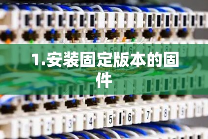 1.安装固定版本的固件 1.安装固定版本的固件