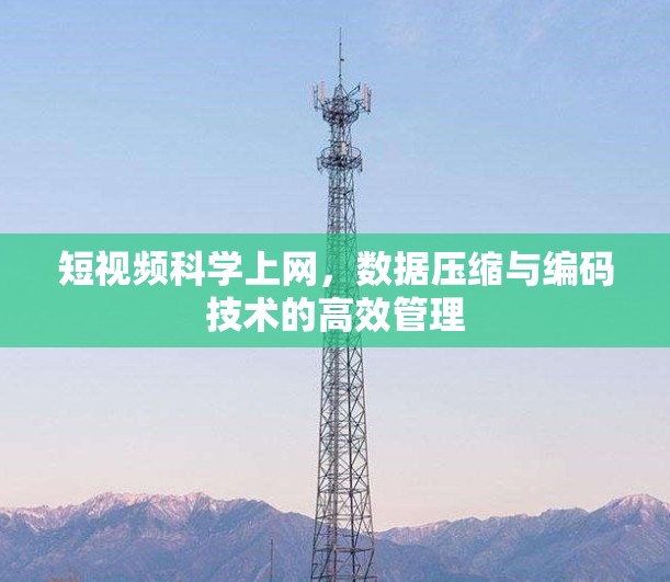 短视频<strong>科学上网</strong>,数据压缩与编码技术的高效管理