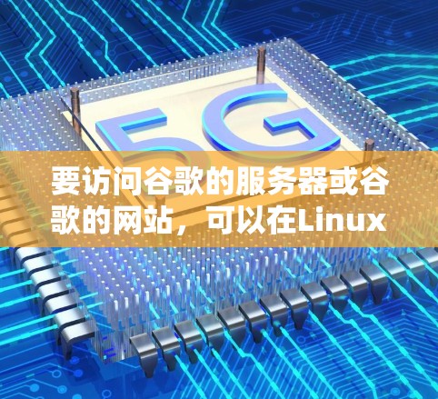 要访问谷歌的服务器或谷歌的网站，可以在Linux系统中使用以下步骤