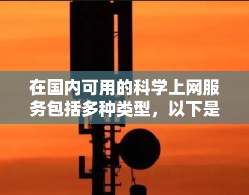 在国内可用的科学上网服务包括多种类型，以下是一些具体的选项及其特点