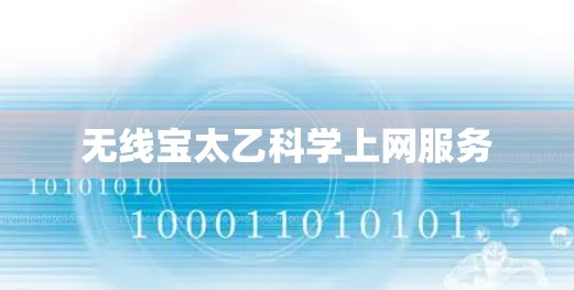 无线宝太乙科学上网服务