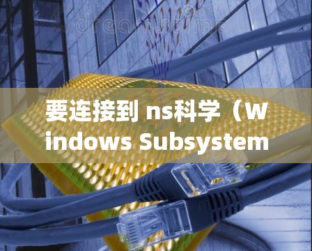 要连接到 ns科学（Windows Subsystem for Windows）的网络服务，您可以按照以下步骤操作