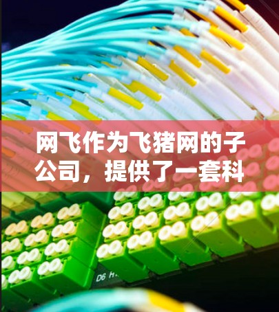 网飞作为飞猪网的子公司,提供了一套科学的互联网解决方案,包括网飞云服务。以下是详细的步骤和信息,帮助你<strong>科学上网</strong>