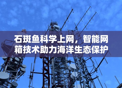 石斑鱼科学上网，智能网箱技术助力海洋生态保护