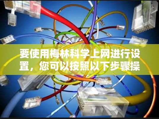 要使用梅林<strong>科学上网</strong>进行设置，您可以按照以下步骤操作