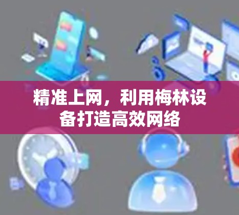 精准上网，利用梅林设备打造高效网络