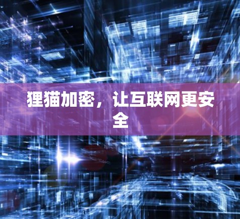 狸猫加密，让互联网更安全