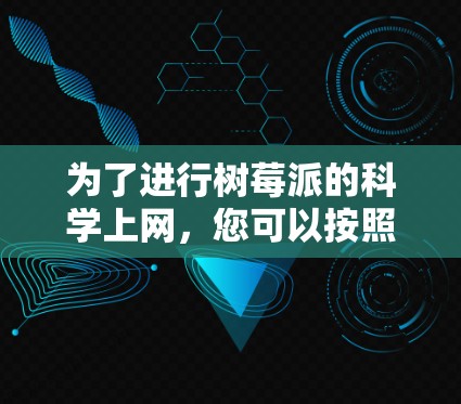为了进行树莓派的科学上网，您可以按照以下步骤操作
