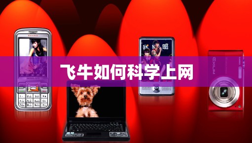 飞牛如何<strong>科学上网</strong>