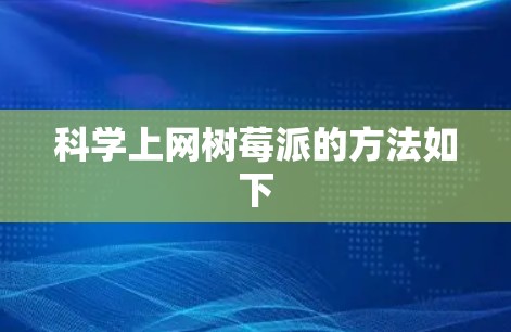 <strong>科学上网</strong>树莓派的方法如下