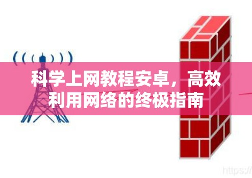 科学上网教程安卓，高效利用网络的终极指南