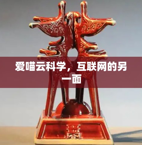 爱喵云科学，互联网的另一面