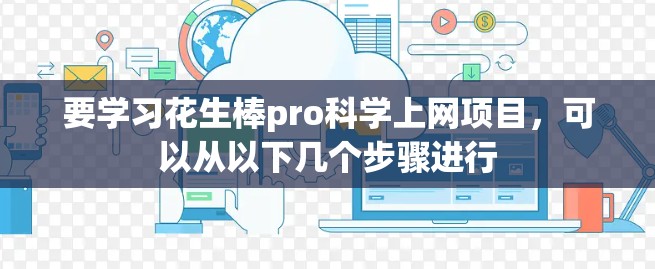 要学习花生棒pro科学上网项目，可以从以下几个步骤进行
