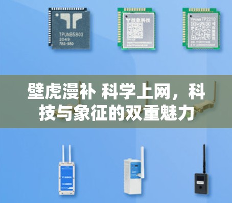 壁虎漫补 科学上网，科技与象征的双重魅力