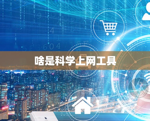 啥是科学上网工具