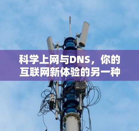 <strong>科学上网</strong>与DNS，你的互联网新体验的另一种挑战