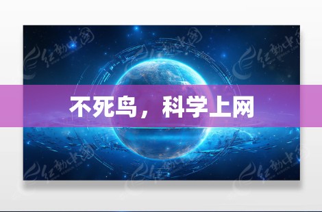 不死鸟，<strong>科学上网</strong>