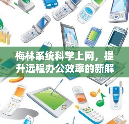 梅林系统<strong>科学上网</strong>,提升远程办公效率的新解决方案