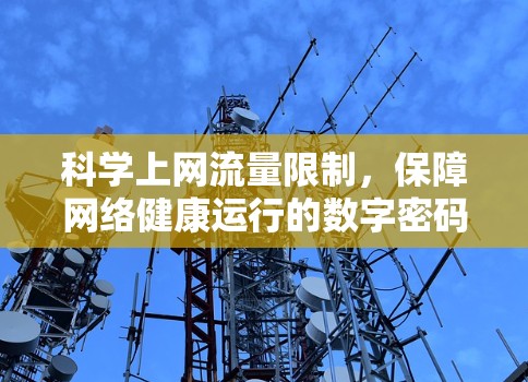 科学上网流量限制,保障网络健康运行的数字密码 科学上网流量限制,保障网络健康运行的数字密码