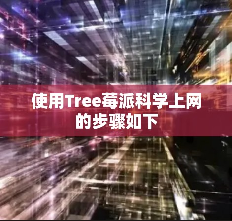 使用Tree莓派科学上网的步骤如下