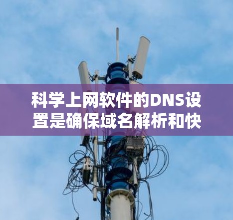<strong>科学上网</strong>软件的DNS设置是确保域名解析和快速访问的关键步骤。以下是一步步的指南，帮助您完成设置