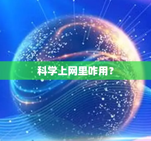 <strong>科学上网</strong>里咋用？