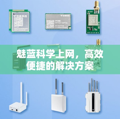 魅蓝科学上网,高效便捷的解决方案 魅蓝科学上网,高效便捷的解决方案