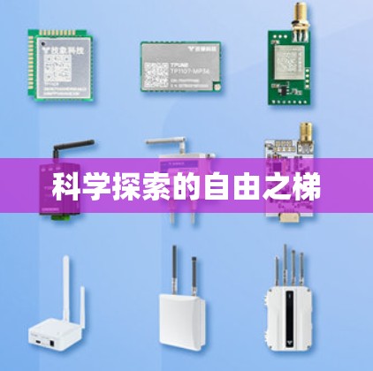 科学探索的自由之梯