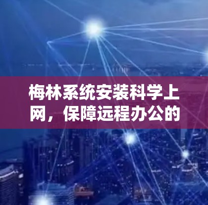 梅林系统安装<strong>科学上网</strong>，保障远程办公的安全与稳定