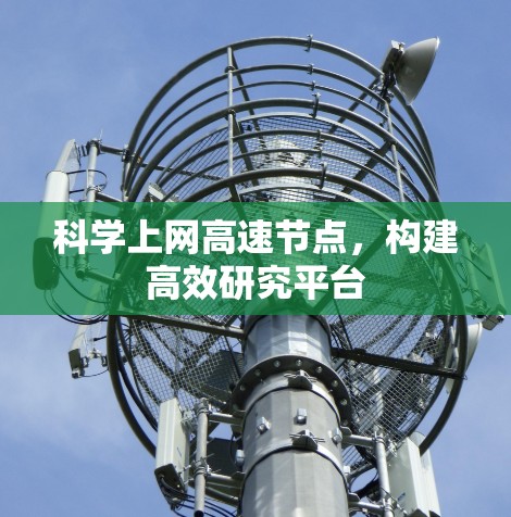<strong>科学上网</strong>高速节点，构建高效研究平台