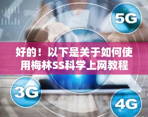 好的!以下是关于如何使用梅林SS<strong>科学上网</strong>教程的指南,涵盖安装、配置和测试的部分。假设你正在使用SSIS 222版本,以下内容适用于你