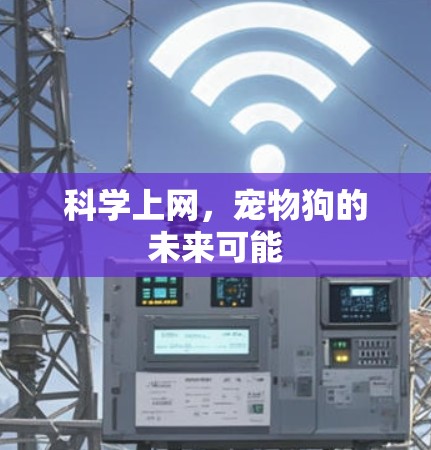 <strong>科学上网</strong>,宠物狗的未来可能