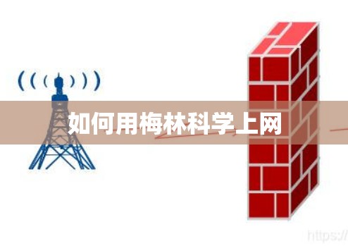 如何用梅林<strong>科学上网</strong>
