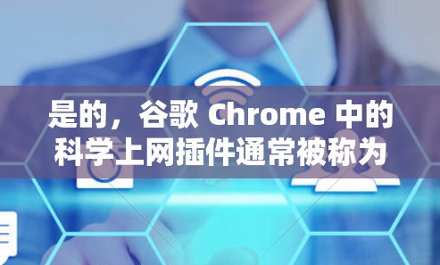 是的，谷歌 Chrome 中的<strong>科学上网</strong>插件通常被称为 科学搜索 或 科学搜索插件。它是一个用于快速搜索和访问网站的功能，使得用户可以更方便地进行在线操作。以下是一些常见而功能强大的插件