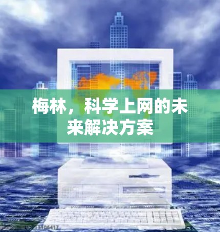 梅林,<strong>科学上网</strong>的未来解决方案