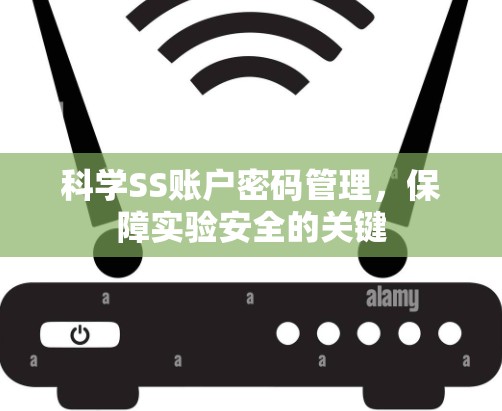 科学SS账户密码管理,保障实验安全的关键 科学SS账户密码管理,保障实验安全的关键