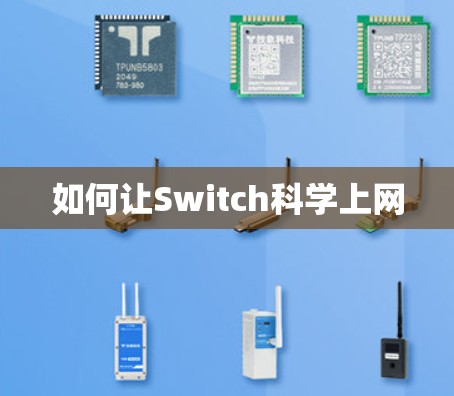 如何让Switch<strong>科学上网</strong>