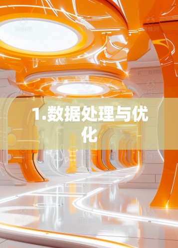 1.数据处理与优化