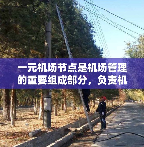 一元机场节点是机场管理的重要组成部分,负责机场内部交通的协调和管理。以下是对这一概念的详细解析