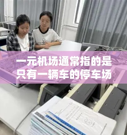一元机场通常指的是只有一辆车的停车场，这种设计可能不太常见，因为通常机场都有多个停车点供游客选择。然而，如果你有特定的需求，可以提供以下建议