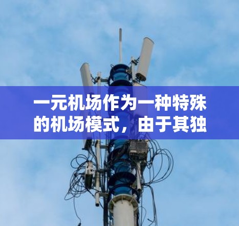 一元机场作为一种特殊的机场模式，由于其独特的运营方式和地理位置，虽然在某些方面可能具有优势，但也可能存在一些缺点。以下是一元机场的几个主要缺点