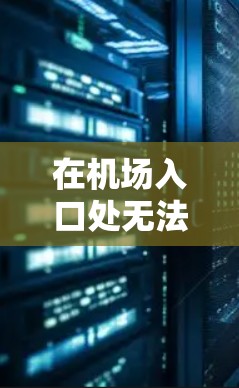 在机场入口处无法访问谷歌的问题可能有以下原因