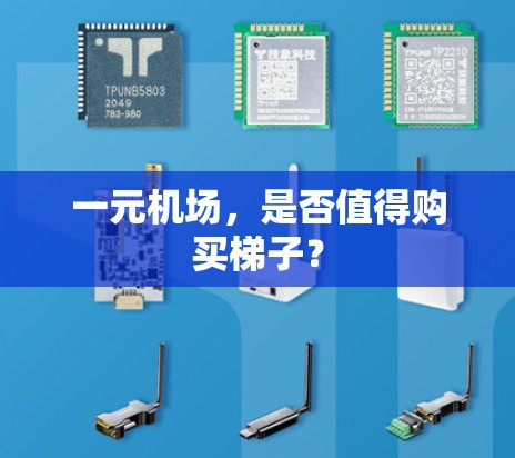 一元机场，是否值得购买<strong>梯子</strong>？