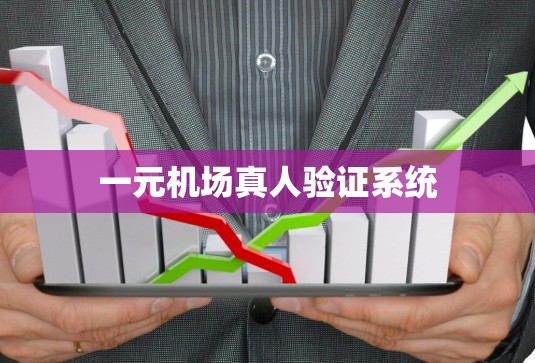 一元机场真人验证系统