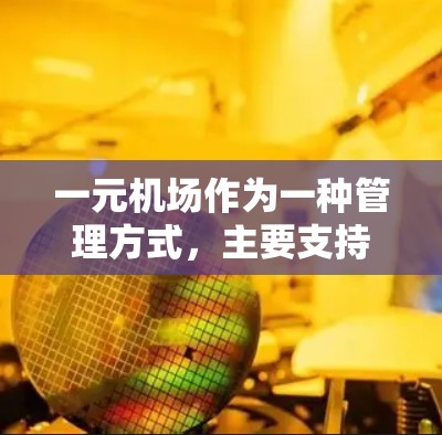 一元机场作为一种管理方式,主要支持以下几个方面