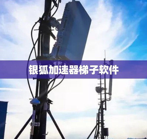 银狐加速器<strong>梯子</strong>软件